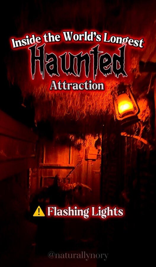 Pure Terror Scream Park Pure Terror Scream Park